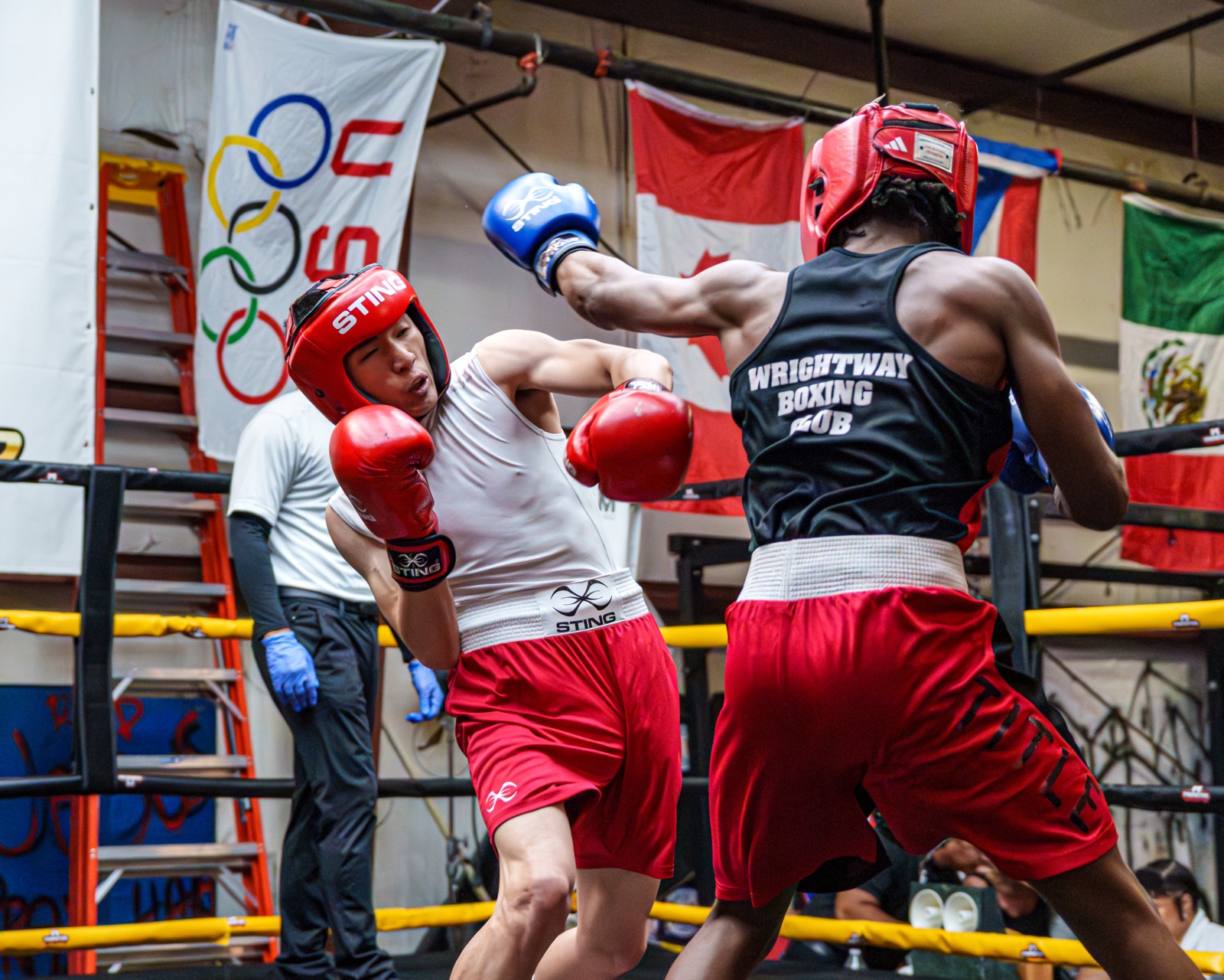 Boxing — AJIV Photography