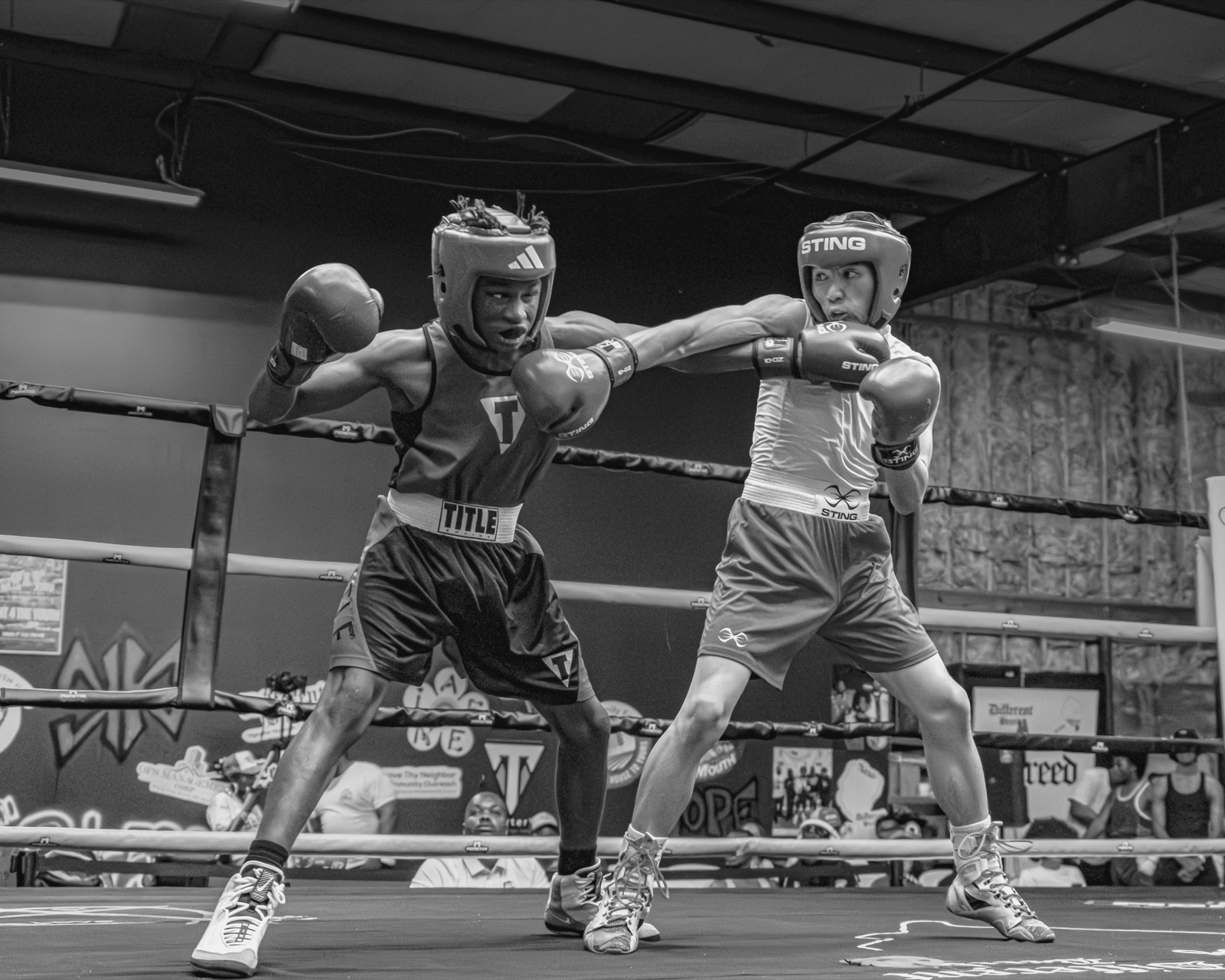 Boxing — AJIV Photography