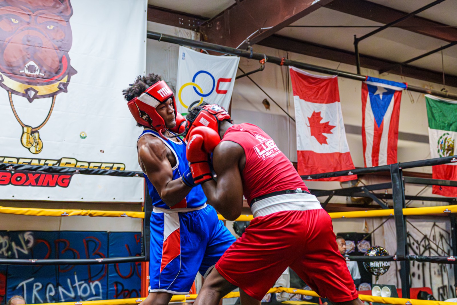 Boxing — AJIV Photography
