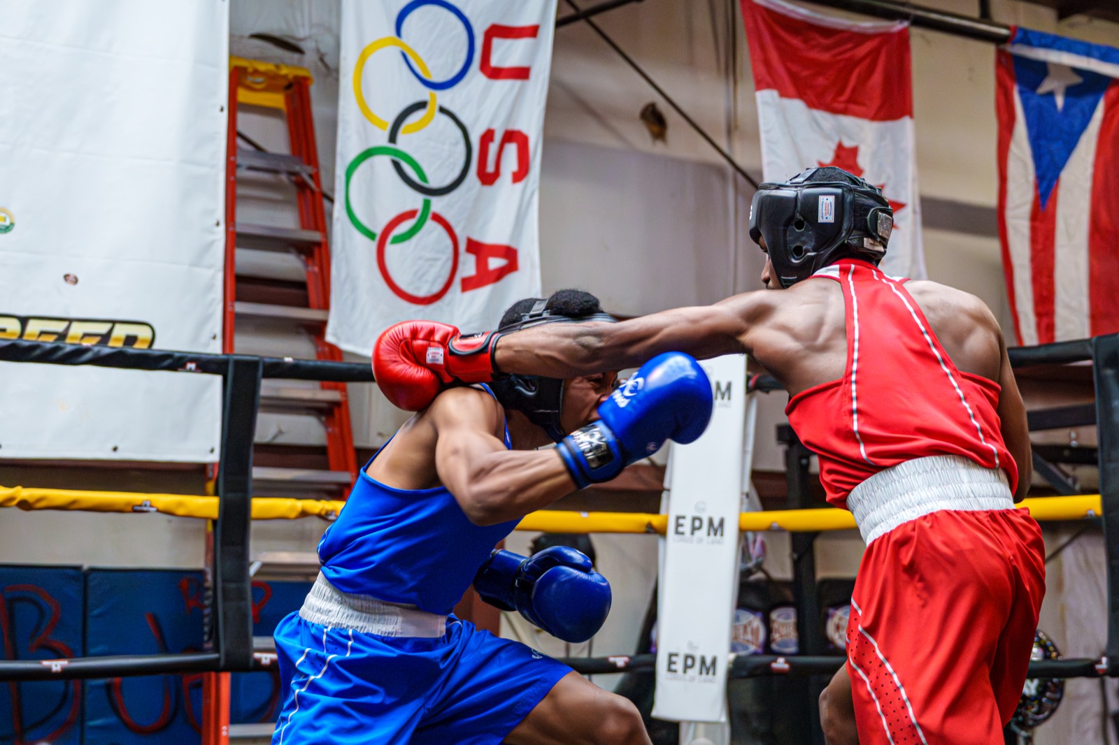 Boxing — AJIV Photography
