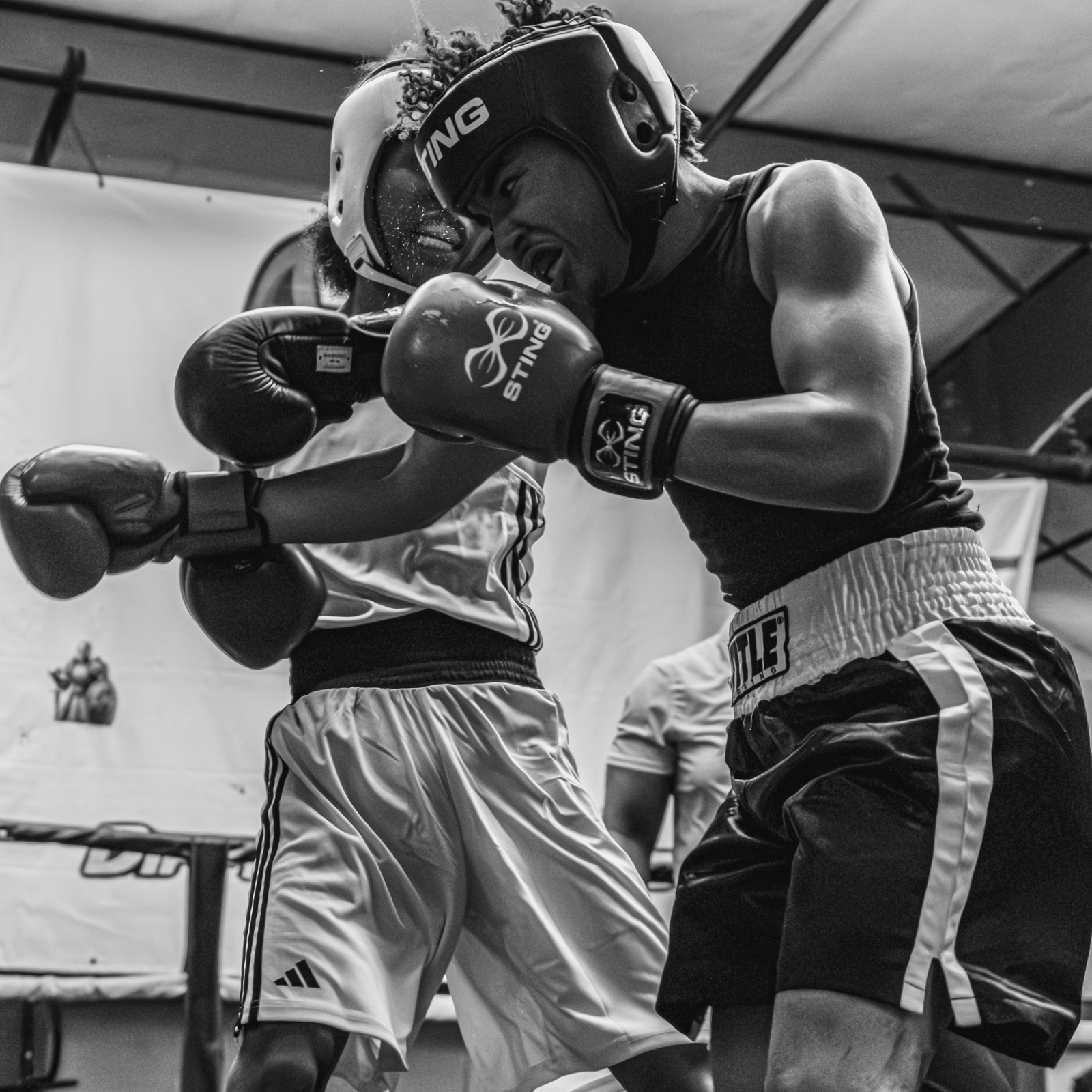Boxing — AJIV Photography
