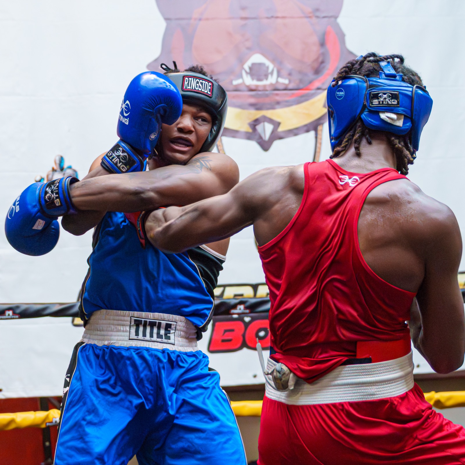 Boxing — AJIV Photography