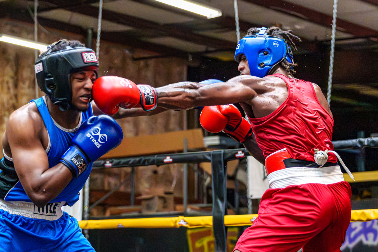Boxing — AJIV Photography