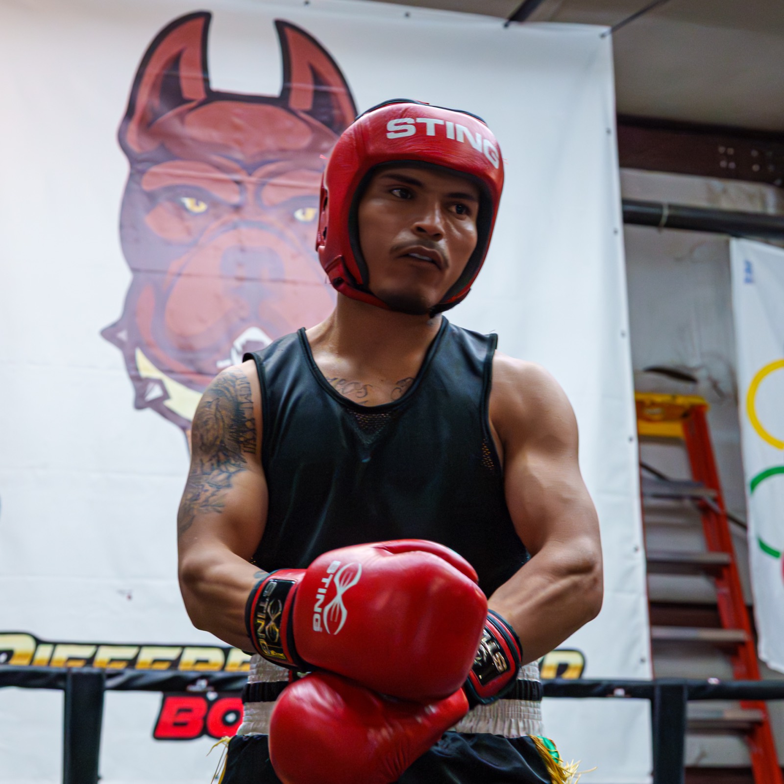 Boxing — AJIV Photography