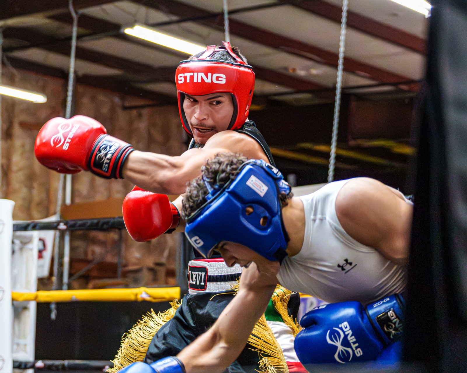 Boxing — AJIV Photography