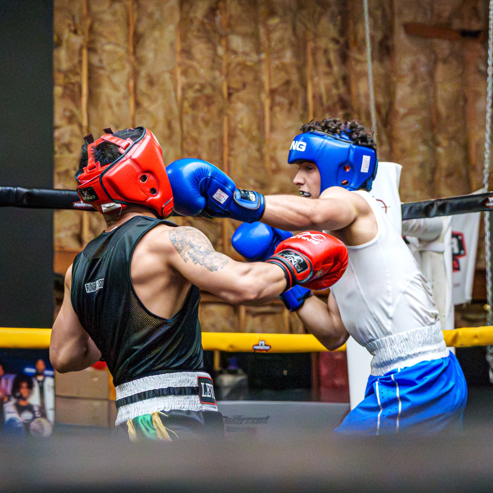 Boxing — AJIV Photography