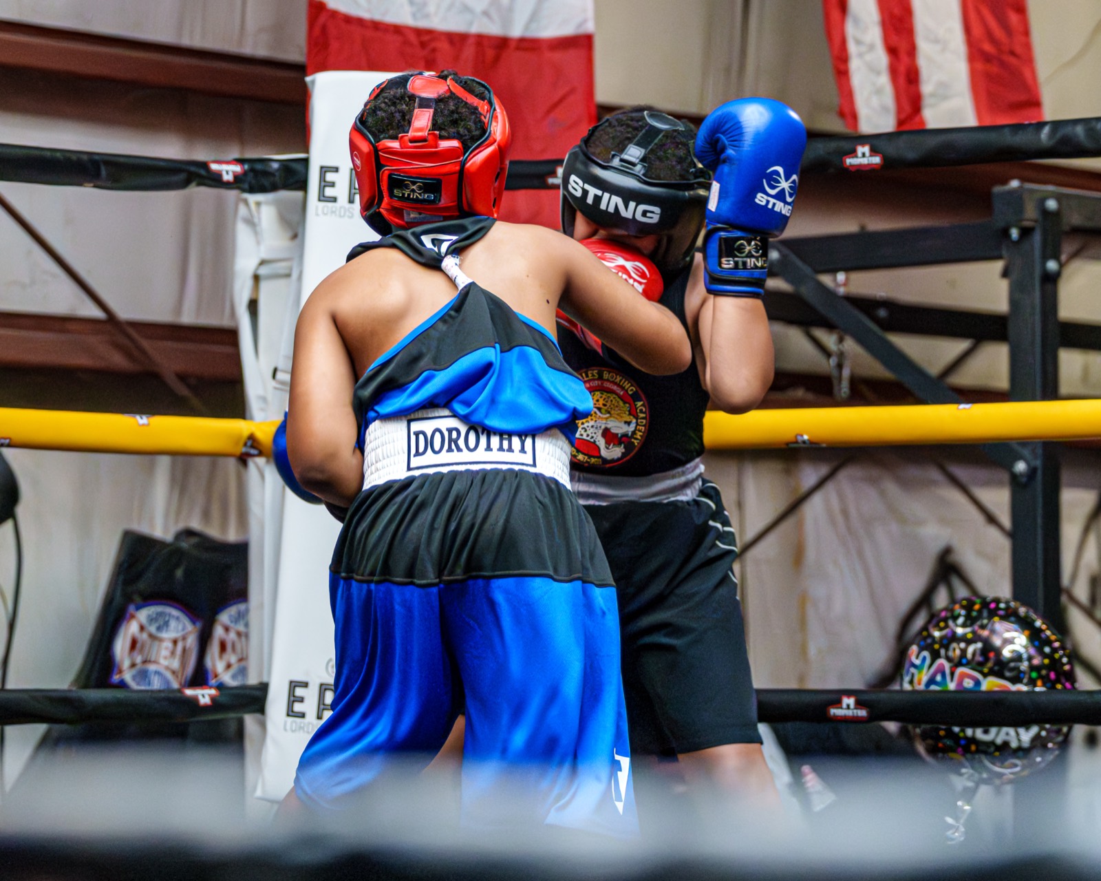 Boxing — AJIV Photography