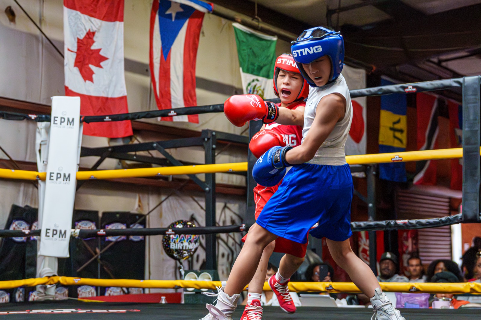 Boxing — AJIV Photography