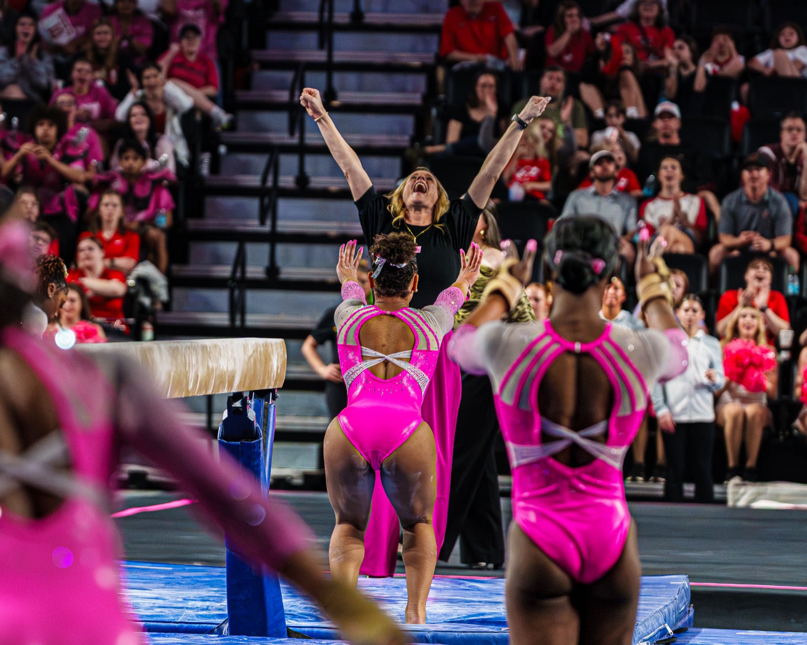 Gymnastics — AJIV Photography