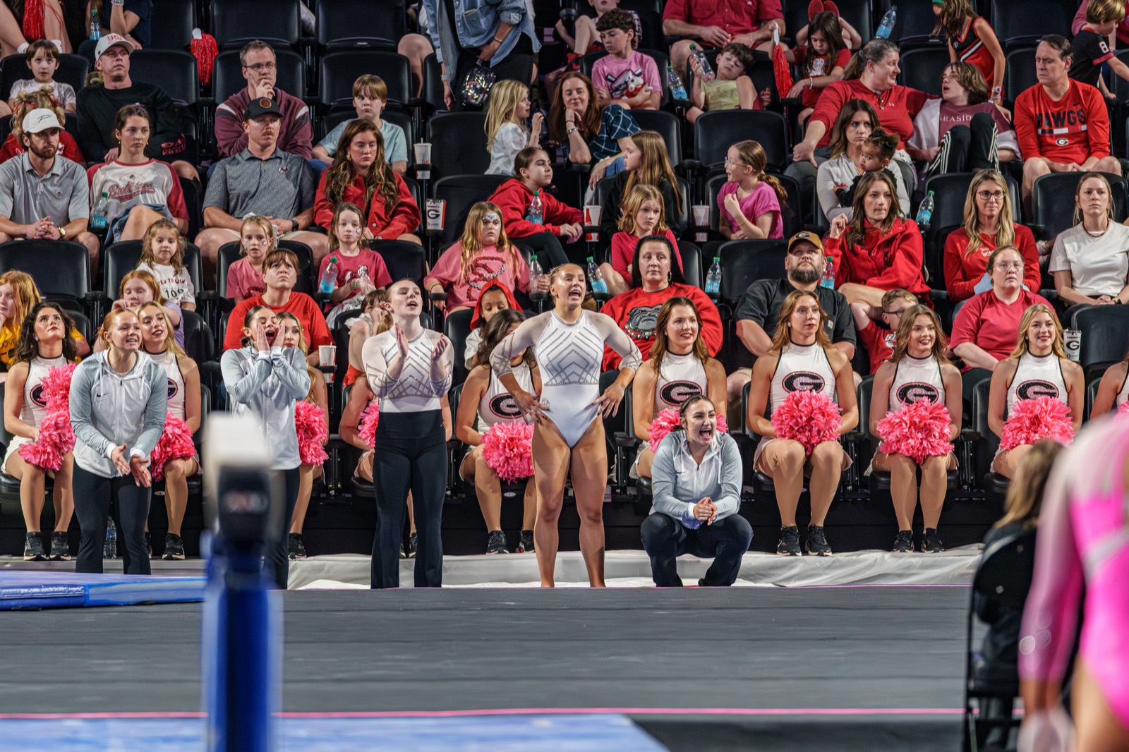 Gymnastics — AJIV Photography