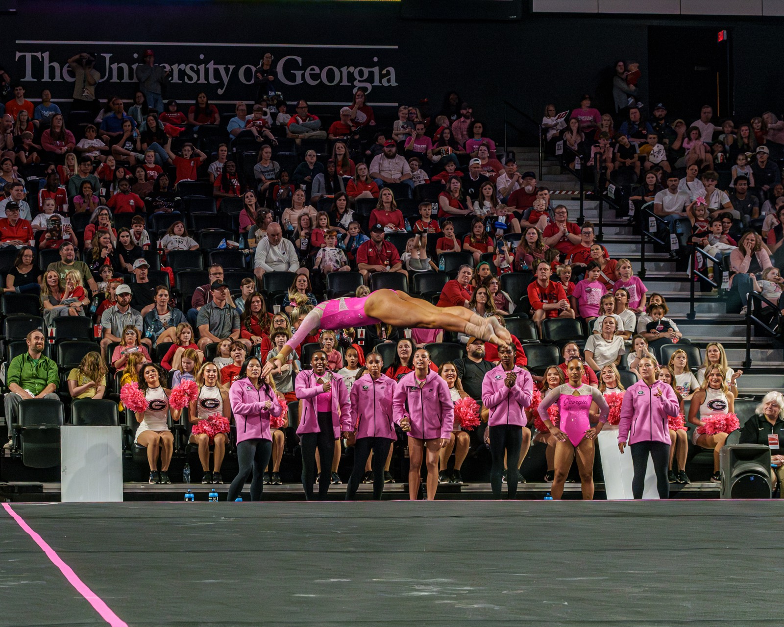 Gymnastics — AJIV Photography