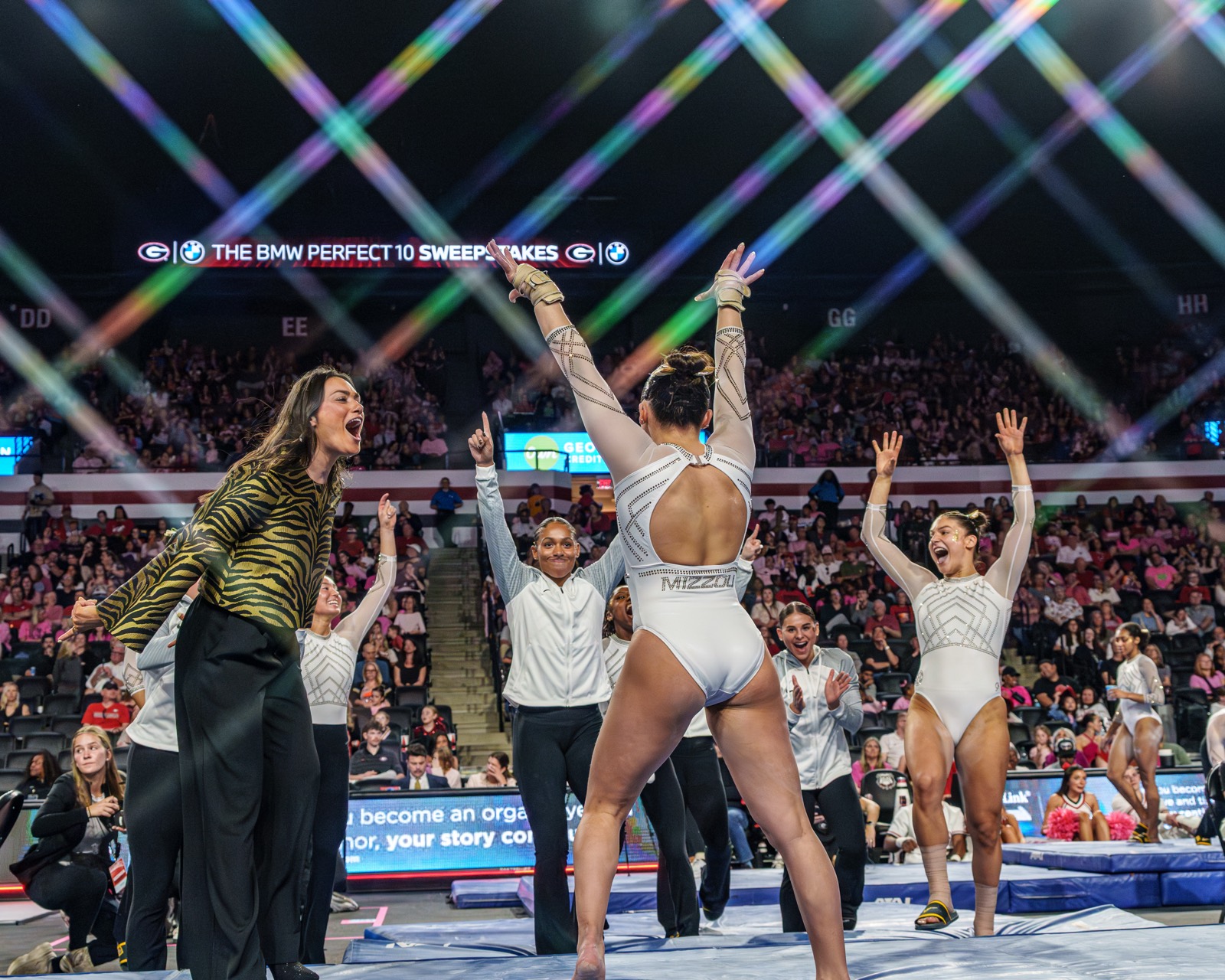 Gymnastics — AJIV Photography