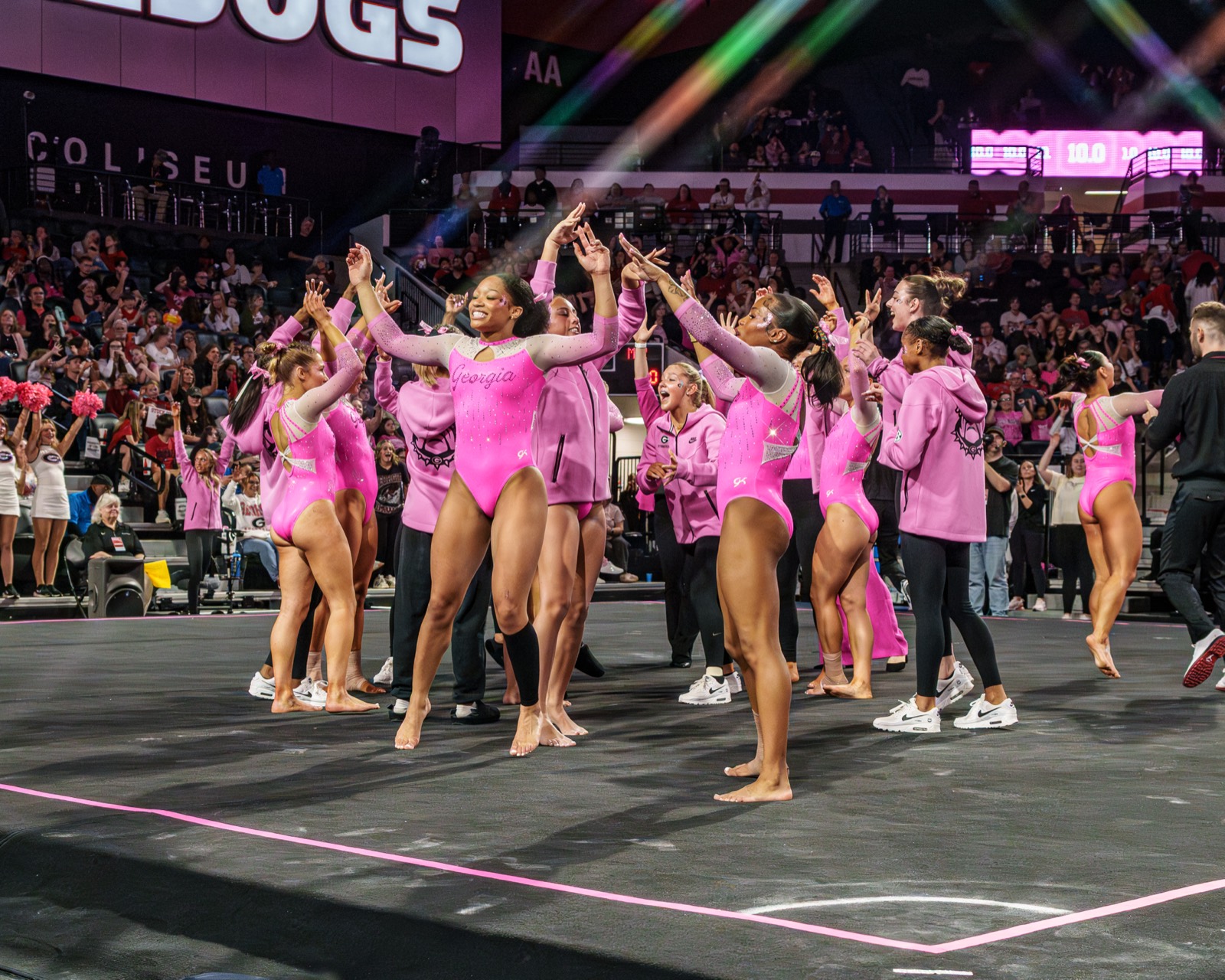 Gymnastics — AJIV Photography